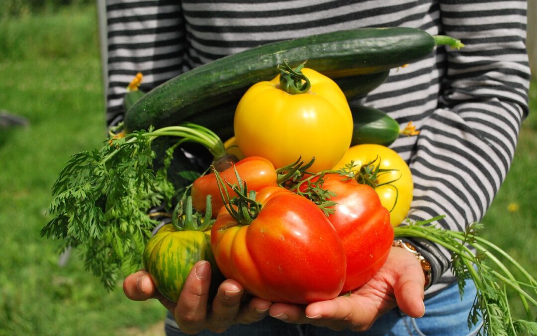 Veganuary, il mese dell’orgoglio vegano