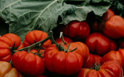 L’agricoltura italiana prima in Europa per valore aggiunto