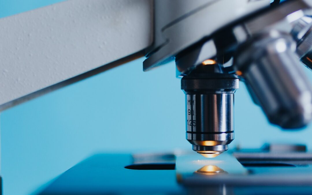 L’Europa della scienza per l’arte sceglie l’Italia come cuore dell’innovazione