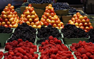 Prodotti degli studenti italiani nei mercati contadini