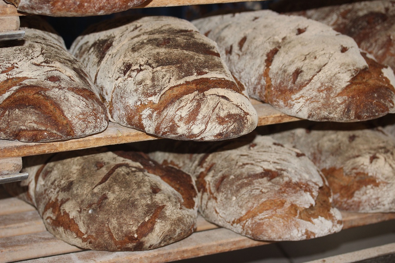 bread-effortlessly for free
