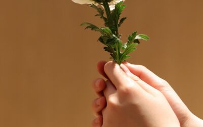 Torna il festival “Il Rumore del Lutto”