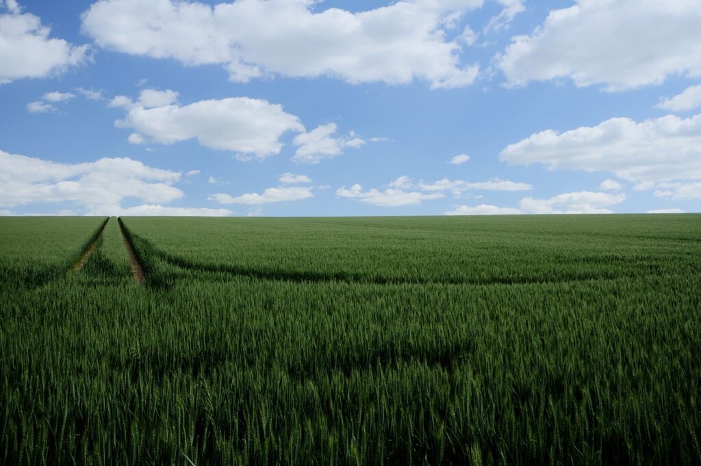 field-mark-effortlessly for free