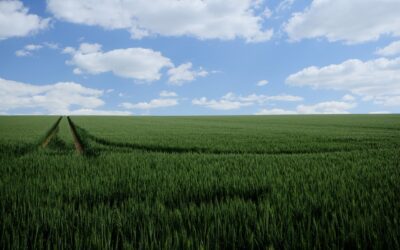 Prevista per il 2026 la ‘Carta dei suoli d’Italia’