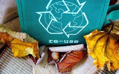 Italia ancora leader nell’economia circolare: i dati del Rapporto CEN 2025