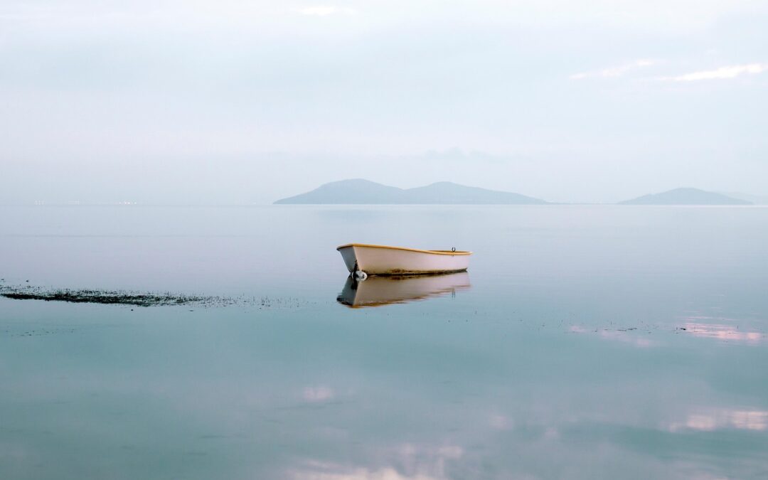 La fine delle praterie dell’Adriatico