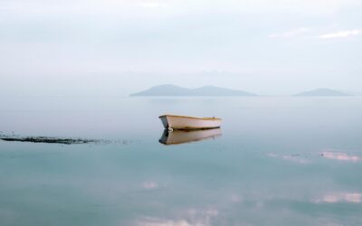 La fine delle praterie dell’Adriatico