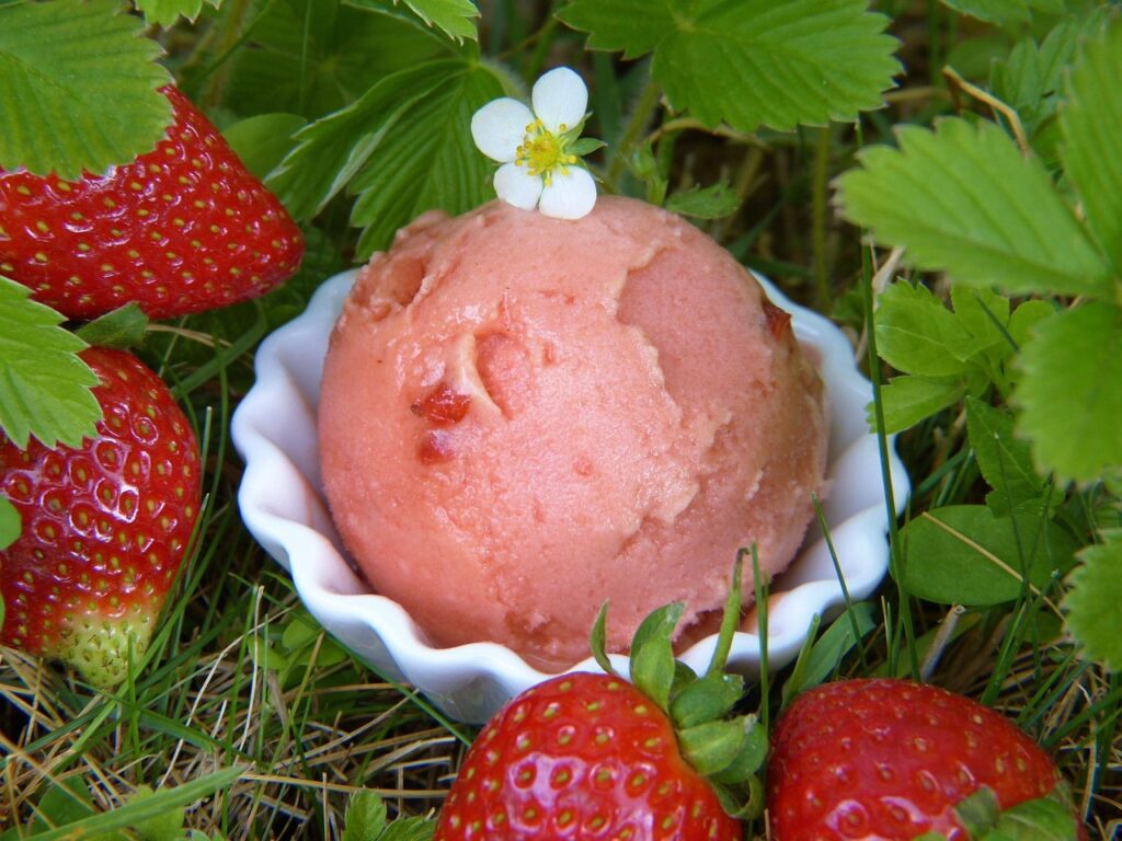 strawberry-ice-cream-silviarita