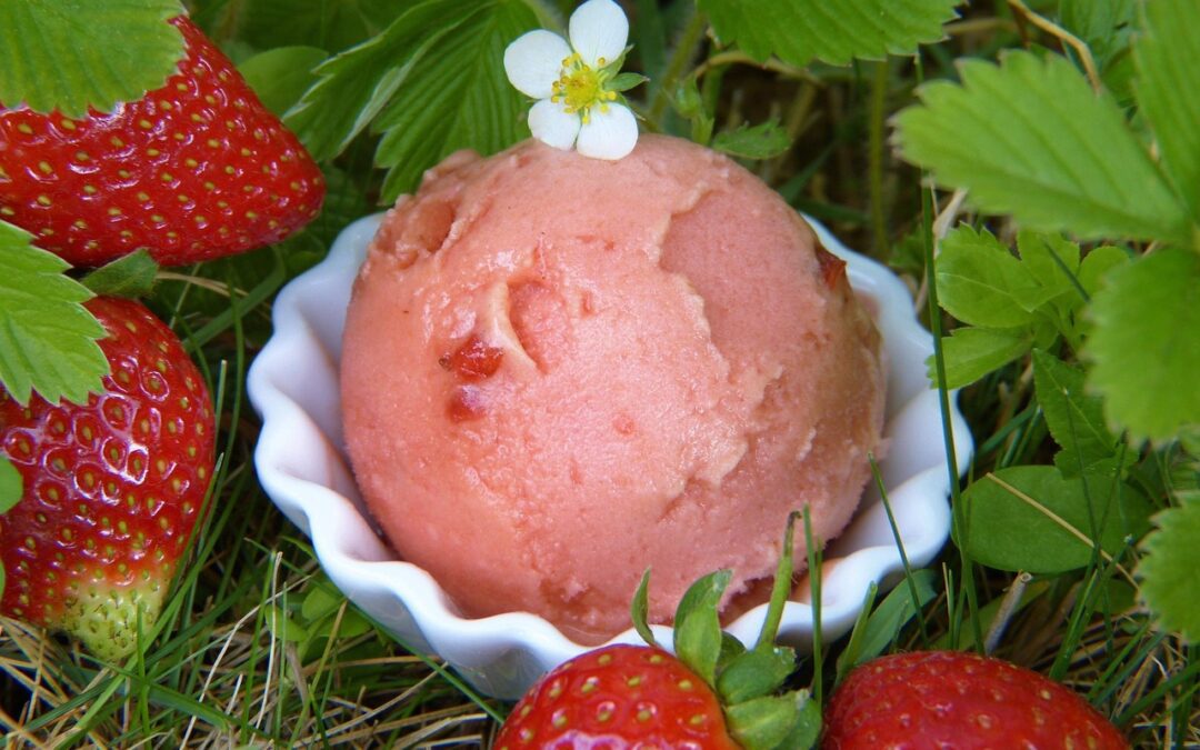 Italia capofila nel consumo di gelato artigianale in Europa