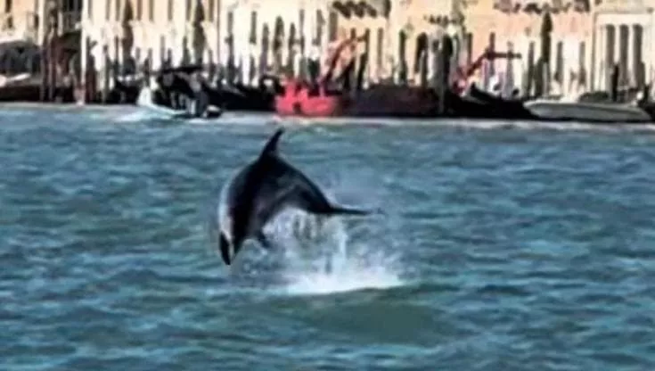 090138155-643165b5-5ddb-4cbe-b2ed-42e047f7297e