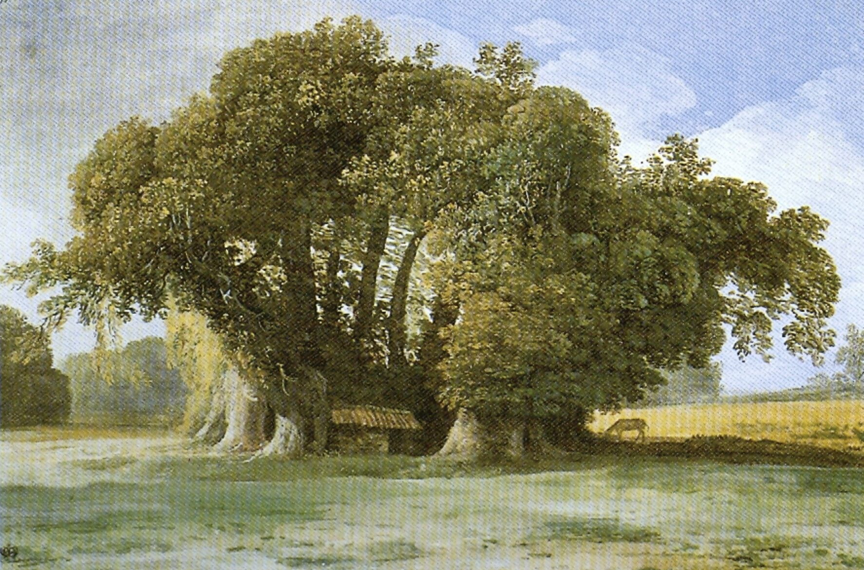 Castagno dei Cento Cavalli – da Wikipedia, quadro di Jean-Pierre Houël Castagno dei Cento Cavalli - da Wikipedia, quadro di Jean-Pierre Houël