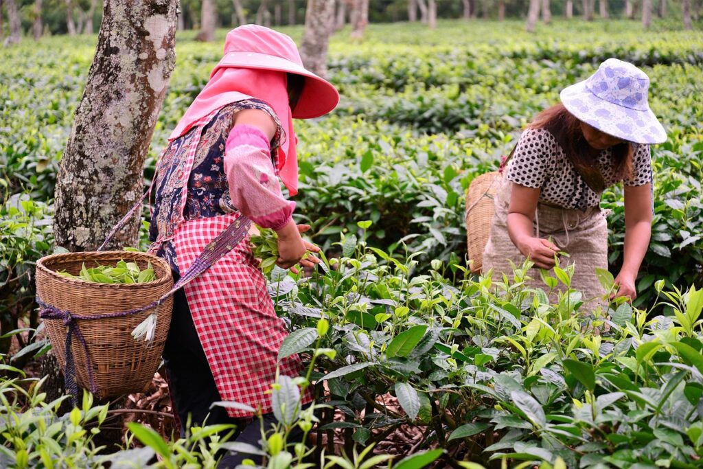 women-farmers-PatricioHurtado