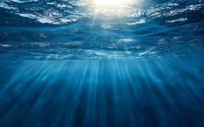 Nasce in Sicilia la prima rete europea per l’ascolto del mare