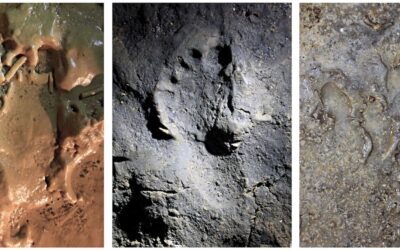 Una grotta per cuccia