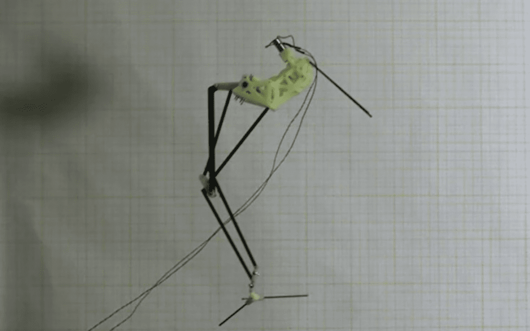 Ecco i robot ispirati alla natura creati a Pisa