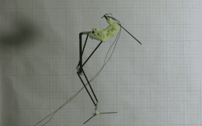 Ecco i robot ispirati alla natura creati a Pisa