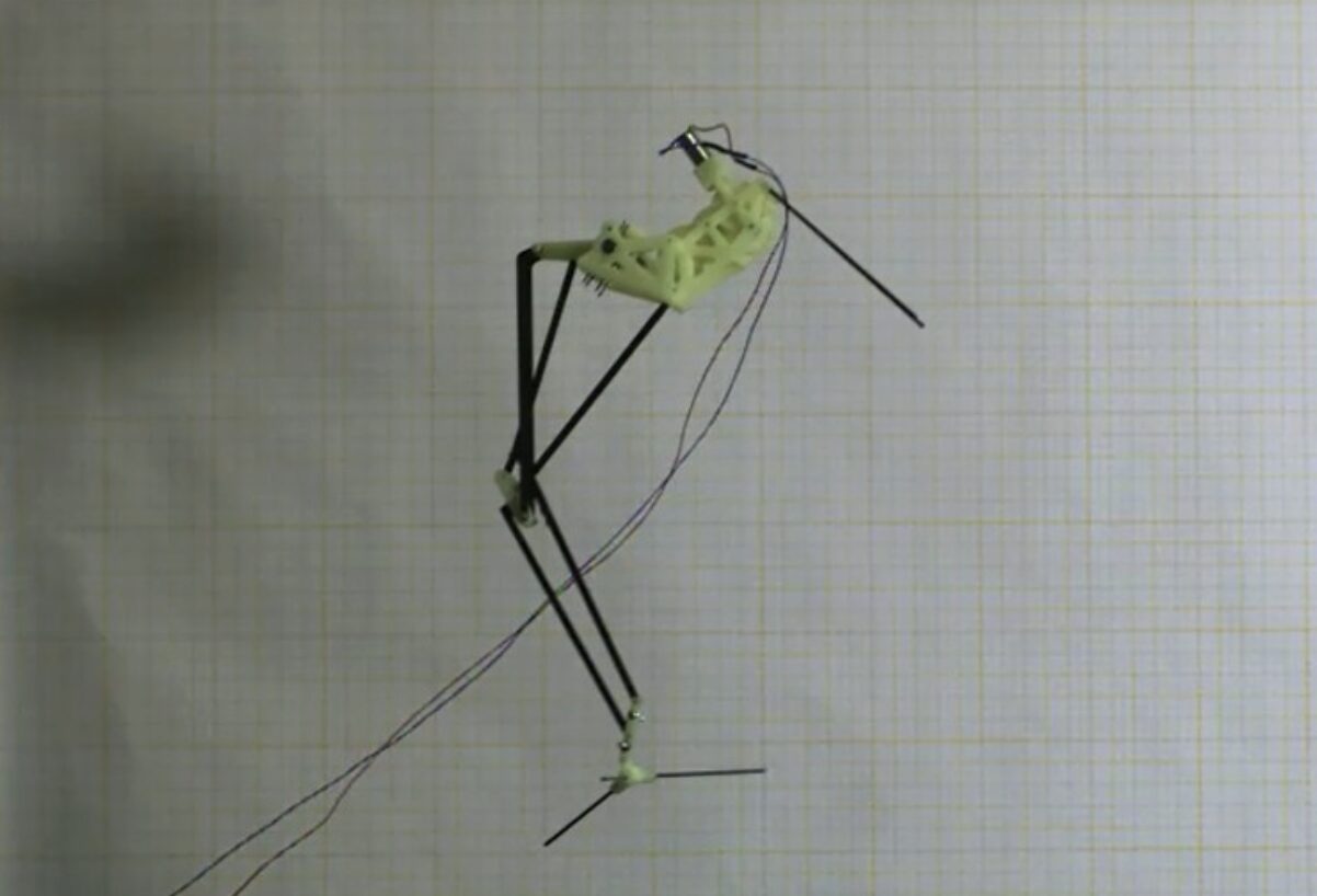 ROBOT INSETTO ROBOT INSETTO