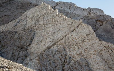 Scoperte “giurassiche”: orme di dinosauri nel Parco Nazionale dello Stelvio