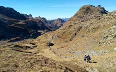 Dalle Prealpi bergamasche riemerge il cranio di un rettile marino