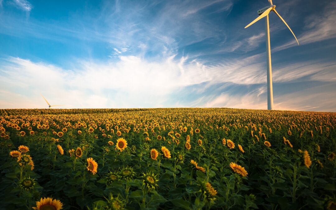CER, passi avanti per una nuova energia in Italia