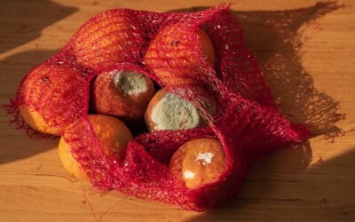 Scarti agroalimentari risorsa ancora poco utilizzata in Italia