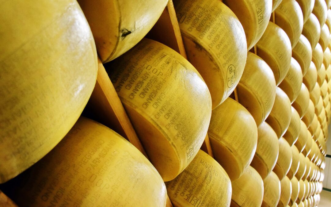 La filiera italiana di latte e formaggi vale 31 miliardi