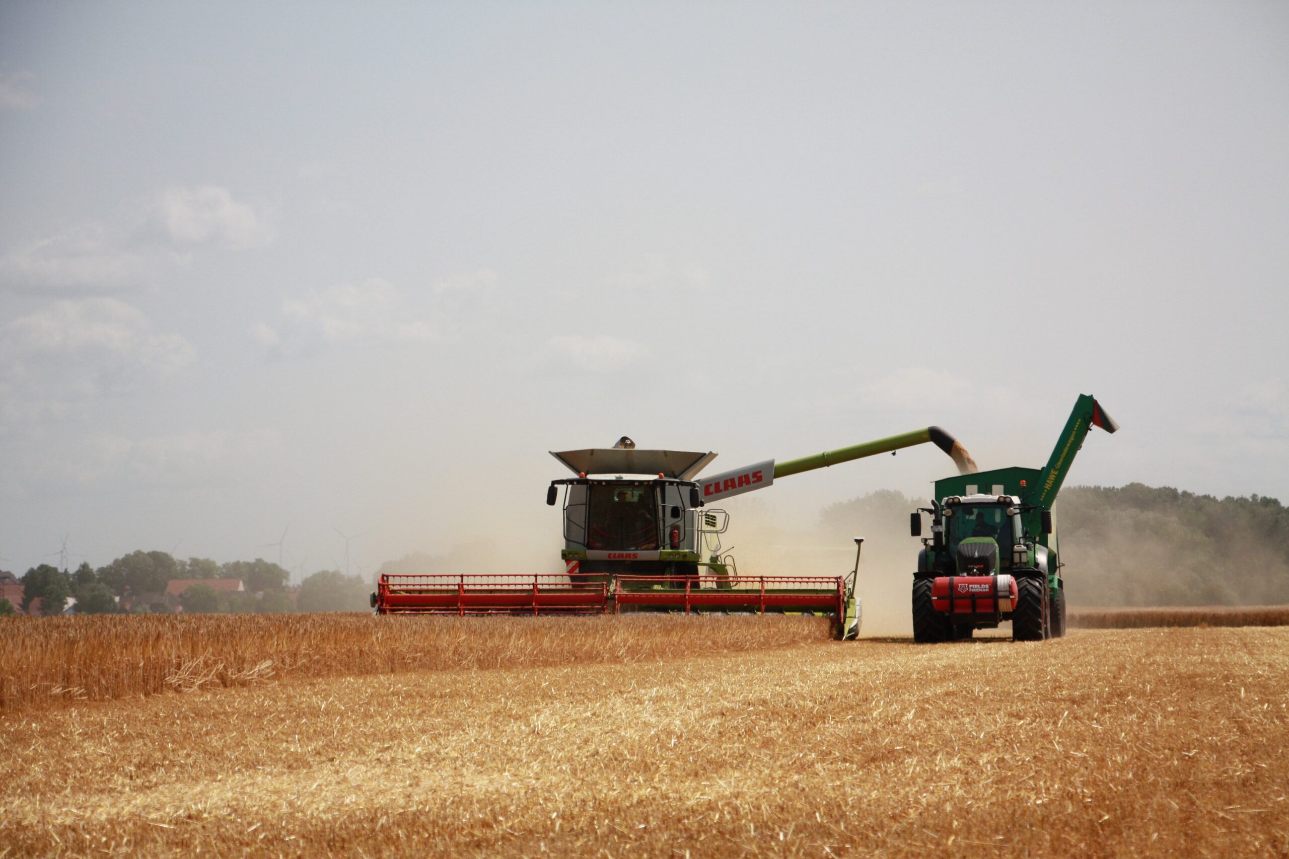 andystrauss-harvest