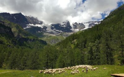 Estinzione verde sulle montagne italiane