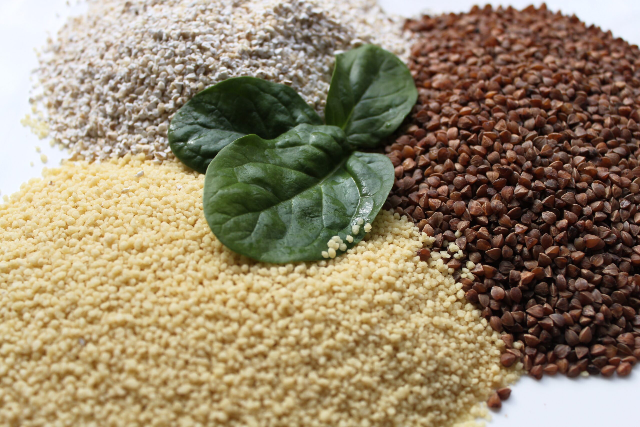 Il Cous Cous protagonista a San Vito Lo Capo