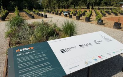 A Orbassano nasce la prima vigna terapeutica italiana in un ospedale