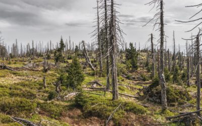 Eventi climatici, in Italia ogni abitante perde 227 euro all’anno